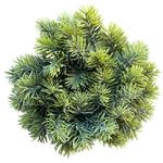 Kép 1/2 - Koszorú műfenyő 22cm zöld