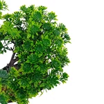 Kép 2/2 - Műnövény bonsai fa zöld 35 cm