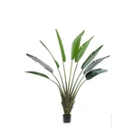 Kép 1/2 - Selyem Strelizia/Papagájvirág/8 fa 180 cm 9 levél