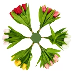 Kép 1/2 - Selyem tulipán csokor 9 ágú, választható