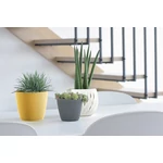 Kép 2/2 - Virágcserép 128 mm Kőszürke WHEATY Prosperplast