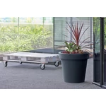Kép 2/2 - Virágcserép 158 mm Mokka Lofly Prosperplast