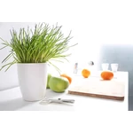 Kép 2/2 - Virágcserép 160 mm Fehér COUBI Prosperplast