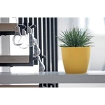 Kép 2/2 - Virágcserép 218 mm Antracit WHEATY Prosperplast