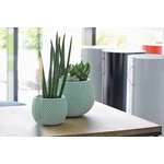 Kép 2/2 - Virágcserép 370 mm Zsálya SPLOFY BOWL Prosperplast