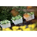 Kép 2/2 - Virágcserép 393 mm Antracit CROWN Prosperplast