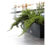 Kép 4/4 - Virágcserép 800 mm Sötét barna Rato case Prosperplast