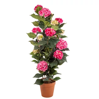 Cserepes Hortenzia pink nagy 140 cm