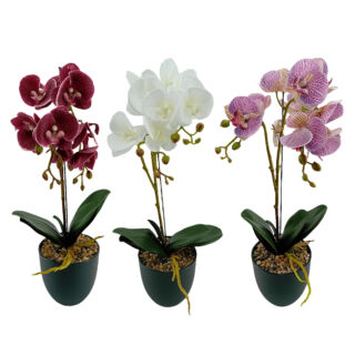 Cserepes orchidea 50cm, 3 színben, választható