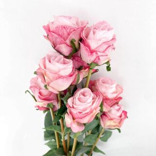 Csokor Rózsa 10 szál mályva 78 cm