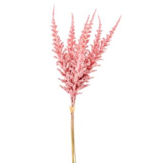 Csokros Astilbe (kerti tollbuga) rózsaszín 48cm