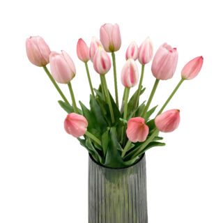 Ébredő tavasz tulipán csokor - Púder