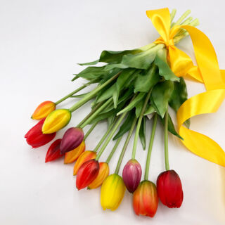 Ébredő tavasz tulipán csokor - Színes
