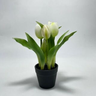 Élethű cserepes gumi tulipán fehér  22cm