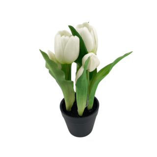 Élethű cserepes gumi tulipán gömbölyű fejű fehér 22cm
