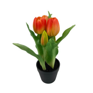 Élethű cserepes gumi tulipán gömbölyű fejű narancsos  22cm