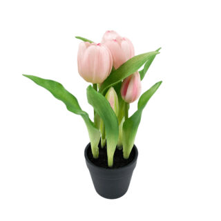 Élethű cserepes gumi tulipán gömbölyű fejű rózsaszín  22cm