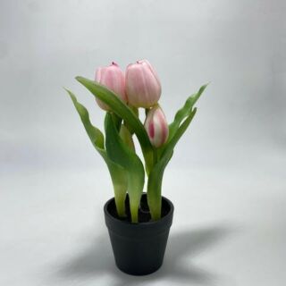Élethű cserepes gumi tulipán halvány rózsaszín  22cm
