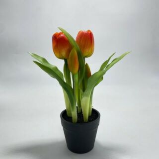 Élethű cserepes gumi tulipán narancsos  22cm