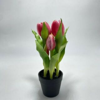 Élethű cserepes gumi tulipán pink 22cm