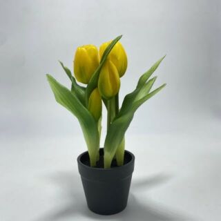 Élethű cserepes gumi tulipán sárga 22cm