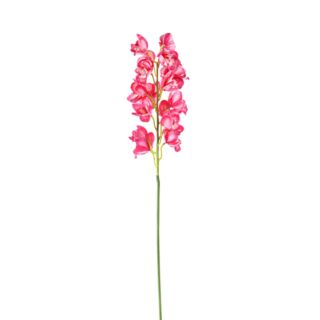 Élethű csónakorchidea (Cymbidium) pink 17 virág