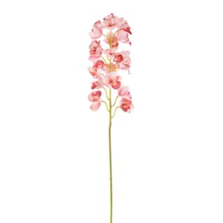 Élethű csónakorchidea (Cymbidium) rózsaszín 17 virág