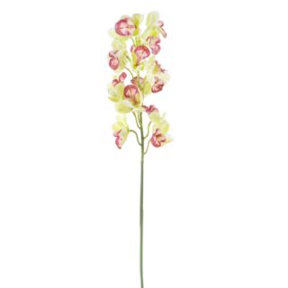 Élethű csónakorchidea (Cymbidium)  zöldes rózsaszín 17 virág