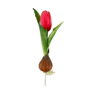 Élethű hagymás gumi tulipán pink