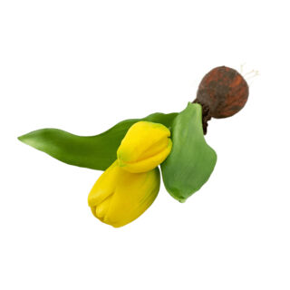 Élethű hagymás gumi tulipán sárga