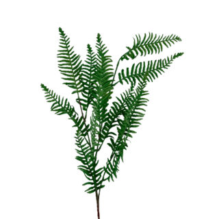 Élethű selyem páfrány ág zöld 100 cm
