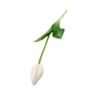 Élethű szálas bimbós gumi tulipán - Fehér