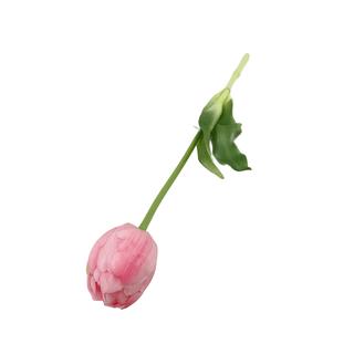 Élethű szálas gumitulipán - Dús szirmú - Rózsaszín