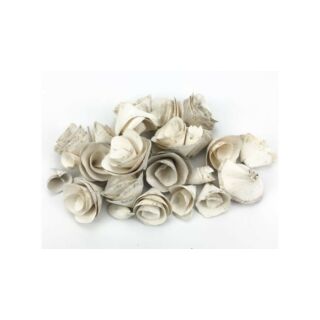 Háncsvirág fehér 50gr/cs