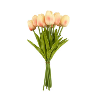 Kötegelt tulipán 10 szálas