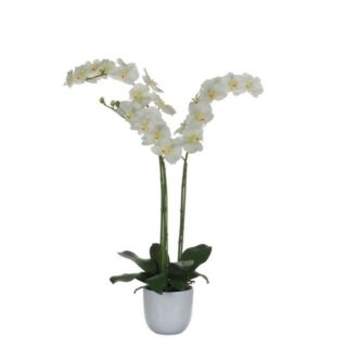 Mű cserepes orchidea 100x53cm fehér