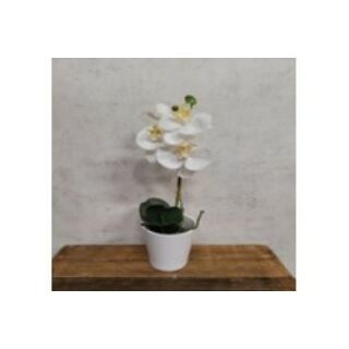 Művirág orchidea 43cm fehér kaspóban (fehér,ciklámen)