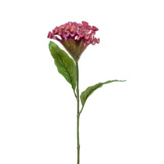 Selyem Cellosia/Kakastaréj/ rózsaszín 62 cm