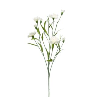 Selyem Dianthus/Szegfű / 70 cm krém