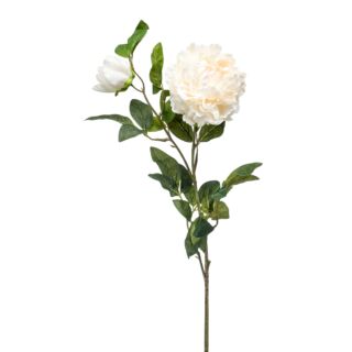 Selyem Peonia,2 virágos, fehér színü,100 cm