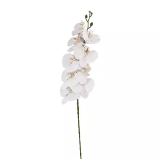 Selyemvirág hosszú szálas orchidea fehér 108cm
