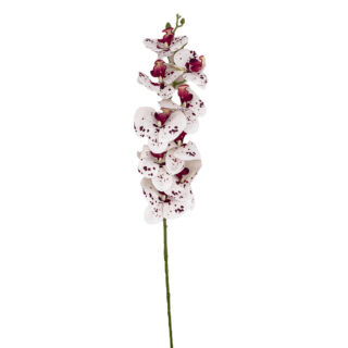 Selyemvirág hosszú szálas orchidea foltos fehér 108cm