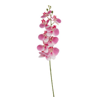 Selyemvirág hosszú szálas orchidea halvány rózsaszín 108cm
