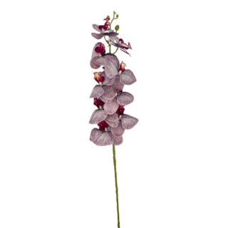 Selyemvirág hosszú szálas orchidea szürkés lila 108cm