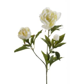 Selyen Peonia szálas 3 virágos krém 70 cm