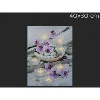 Viágító falikép :Orchideás  30x40cm  7 LED