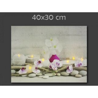 Világító falikép :Rózsaszín orchideák 40x30cm 7 LED