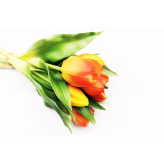 Zártfejű élethű gumi tulipán 7db/csokor - Narancssárga