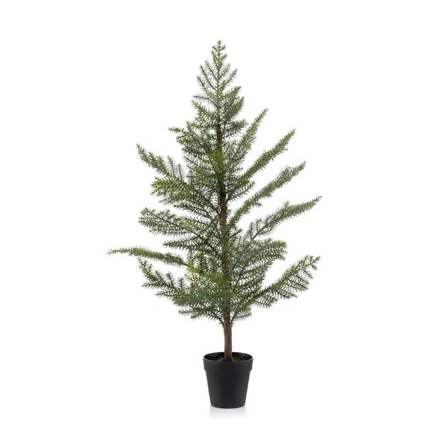 Araucaria/Szobafenyő/gumi, 95 cm