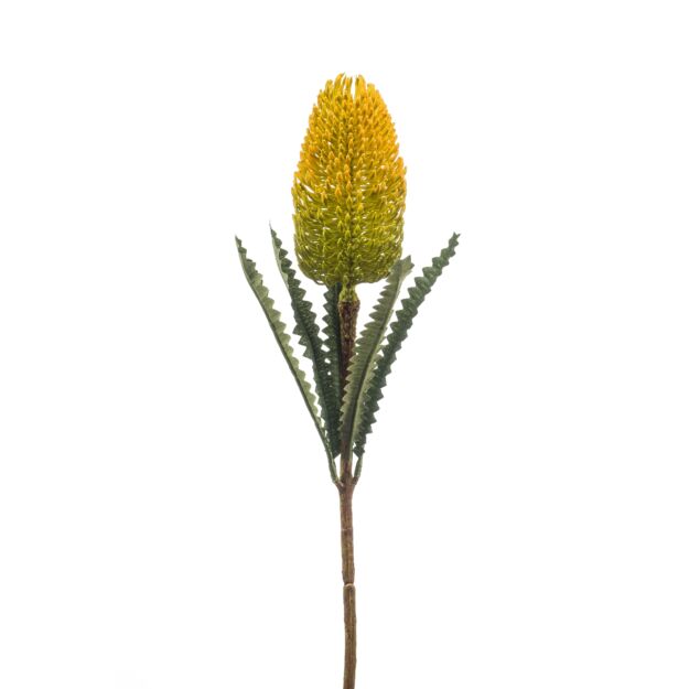 Banksia szálas /gumi/sárga 72 cm